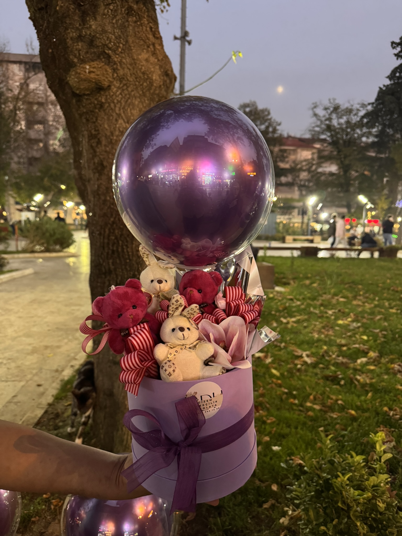 Balon Ayıcık Kutusu III