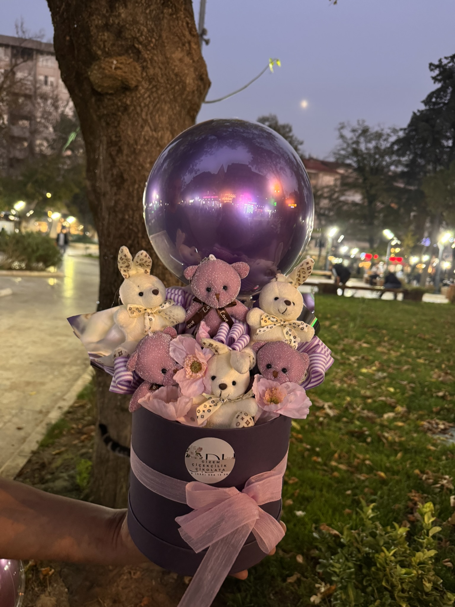 Balon Ayıcık Kutusu IIII