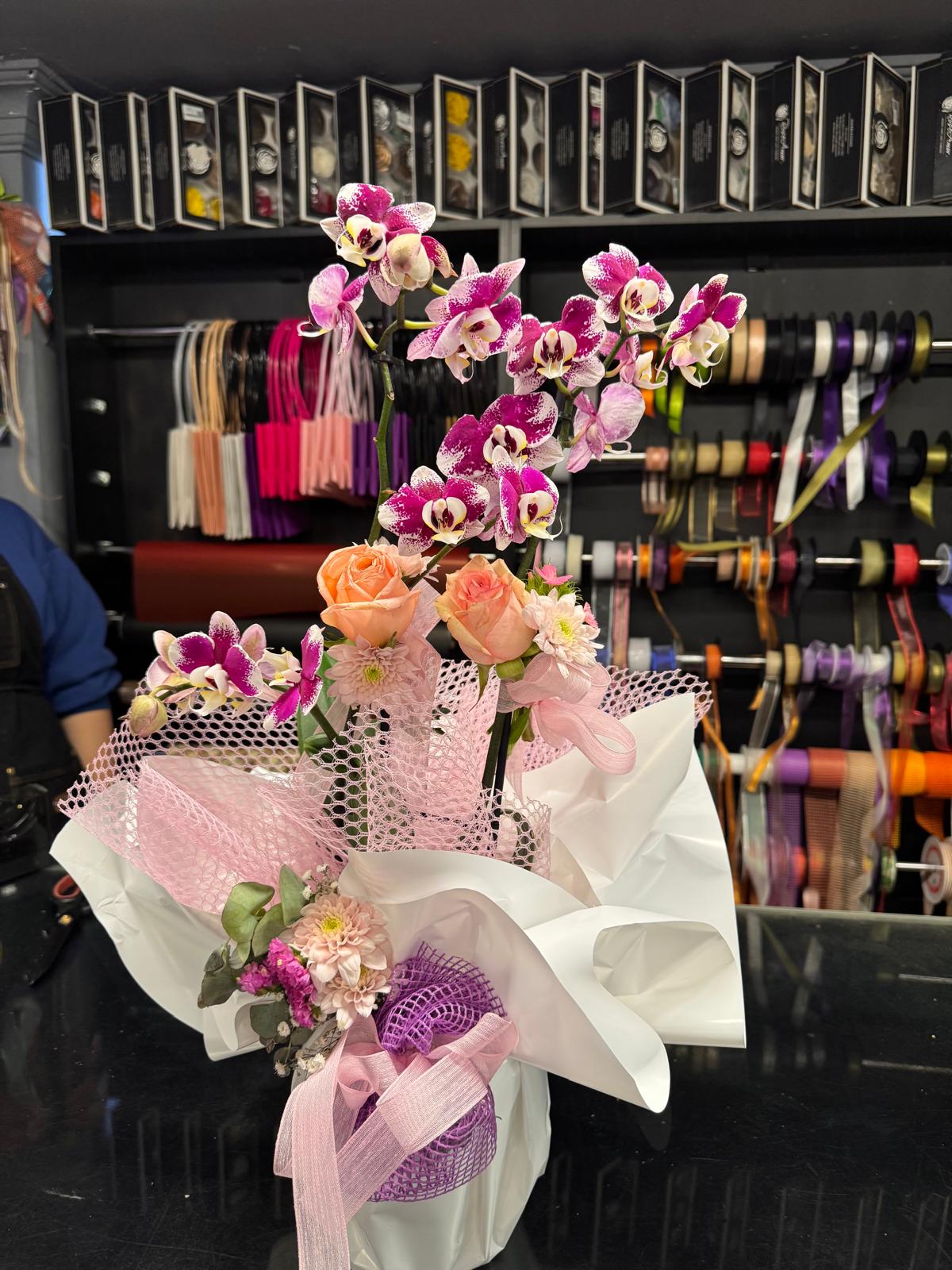 Kırçıllı Mor Orkide