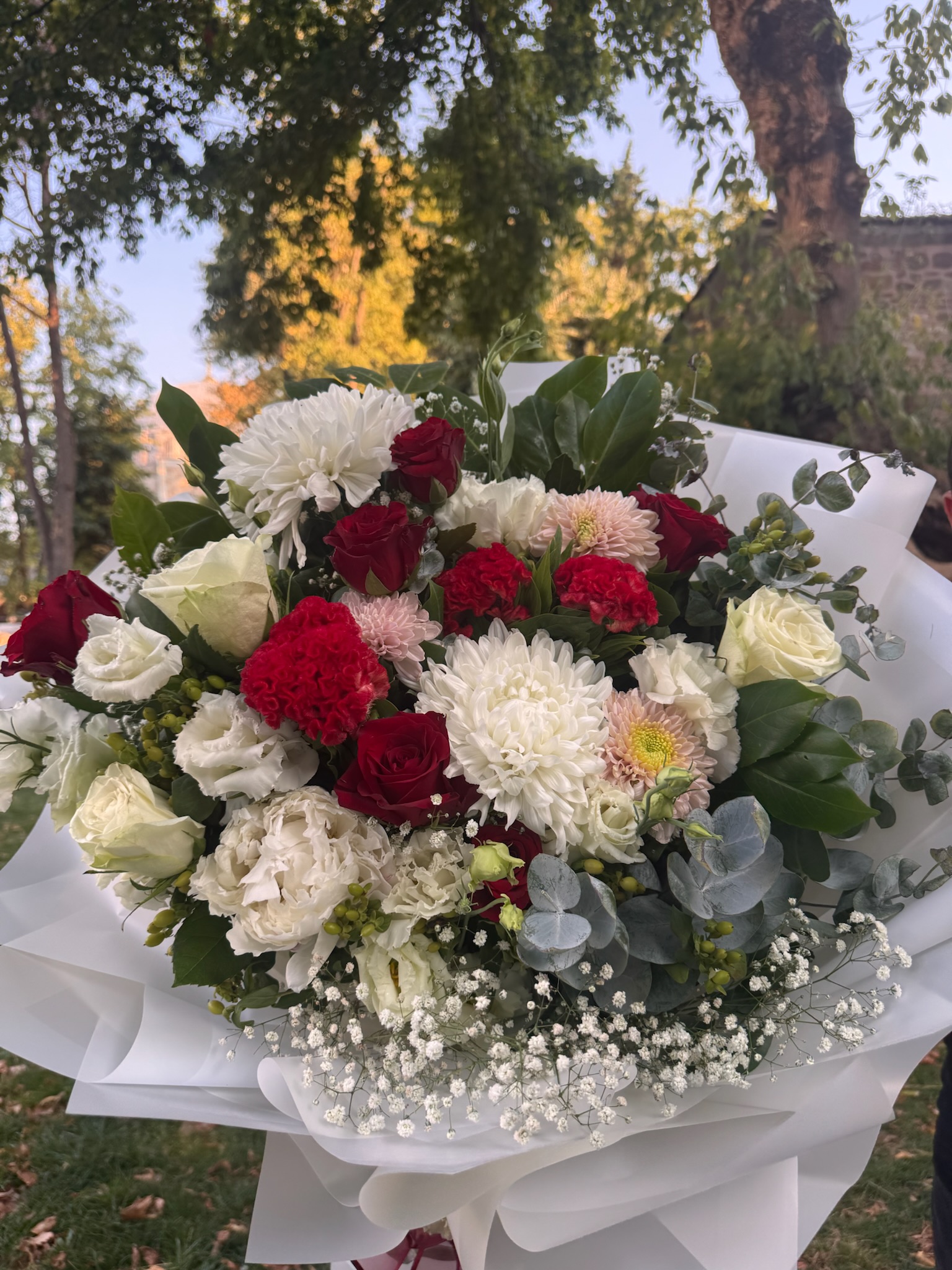 kırmızı gül aşkı