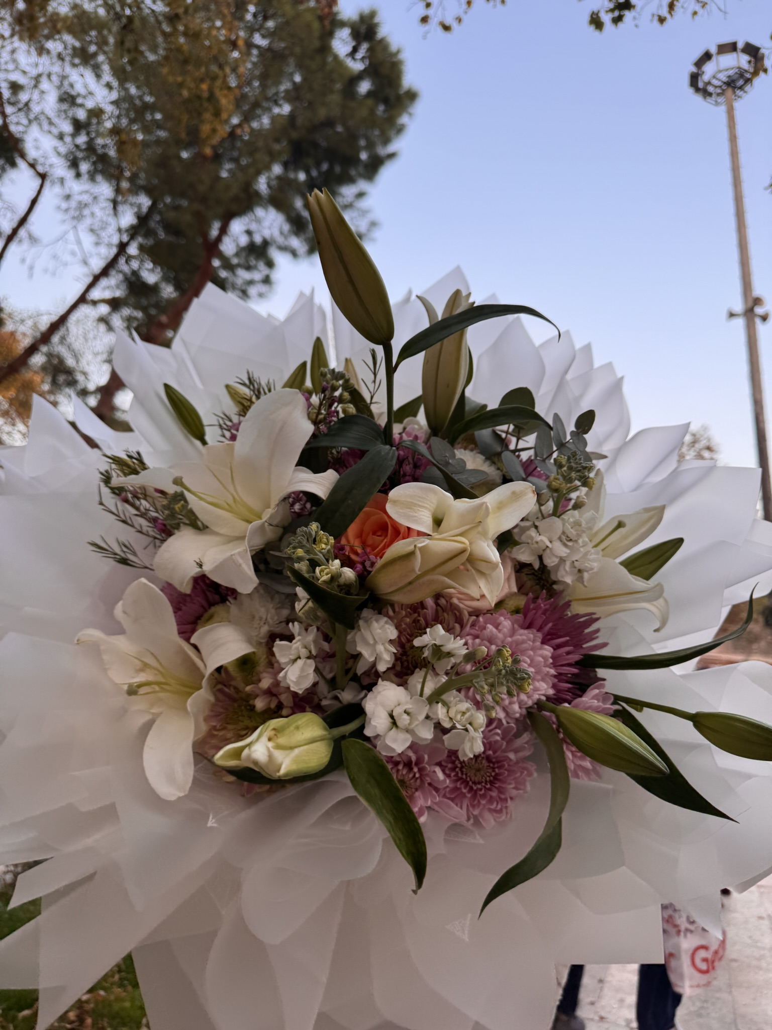 Lilyum-İthal Kombini 1