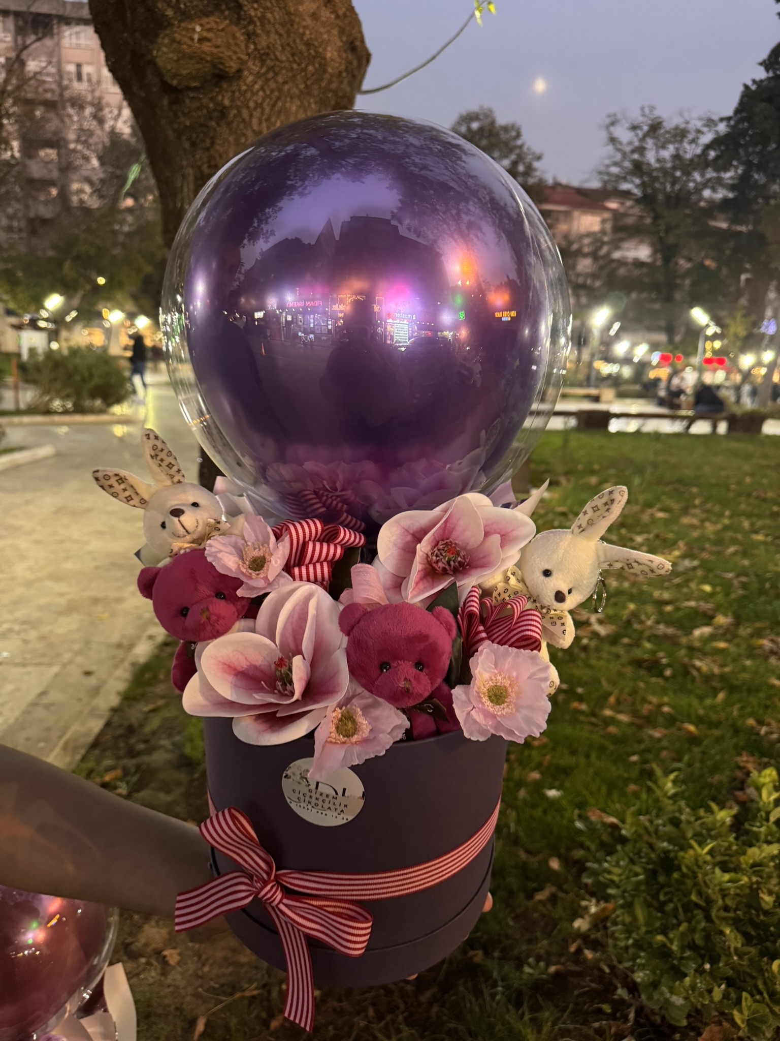 Balon Ayıcık Kutusu