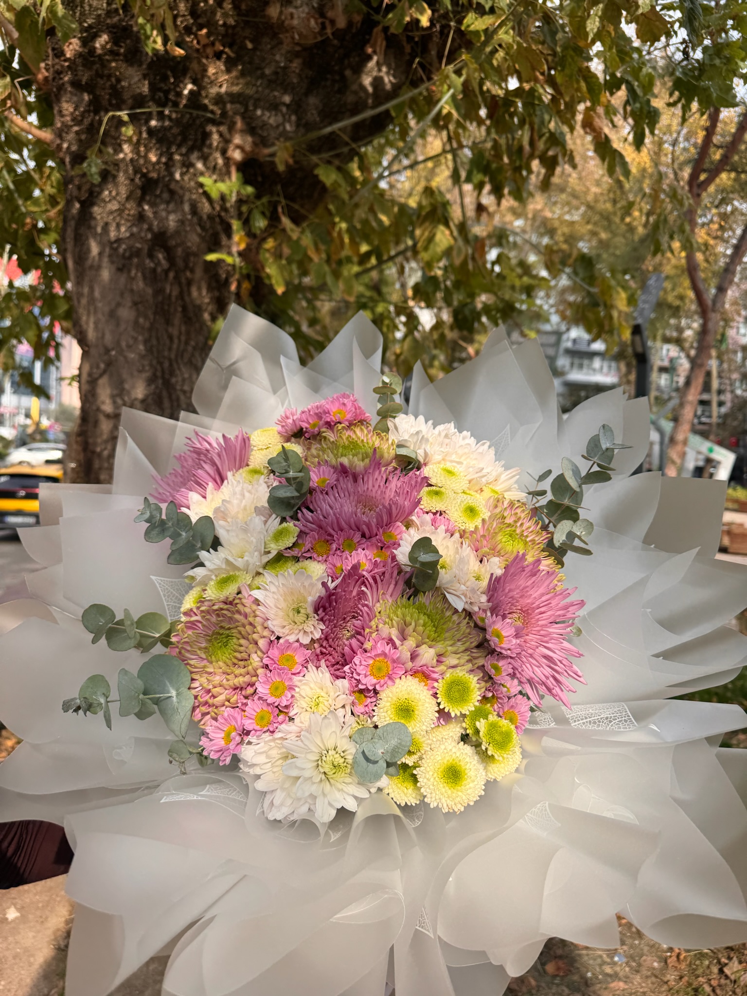 Karışık Kasımpatı Buketi